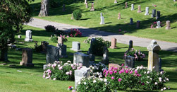 Wulf Ast Mortuary